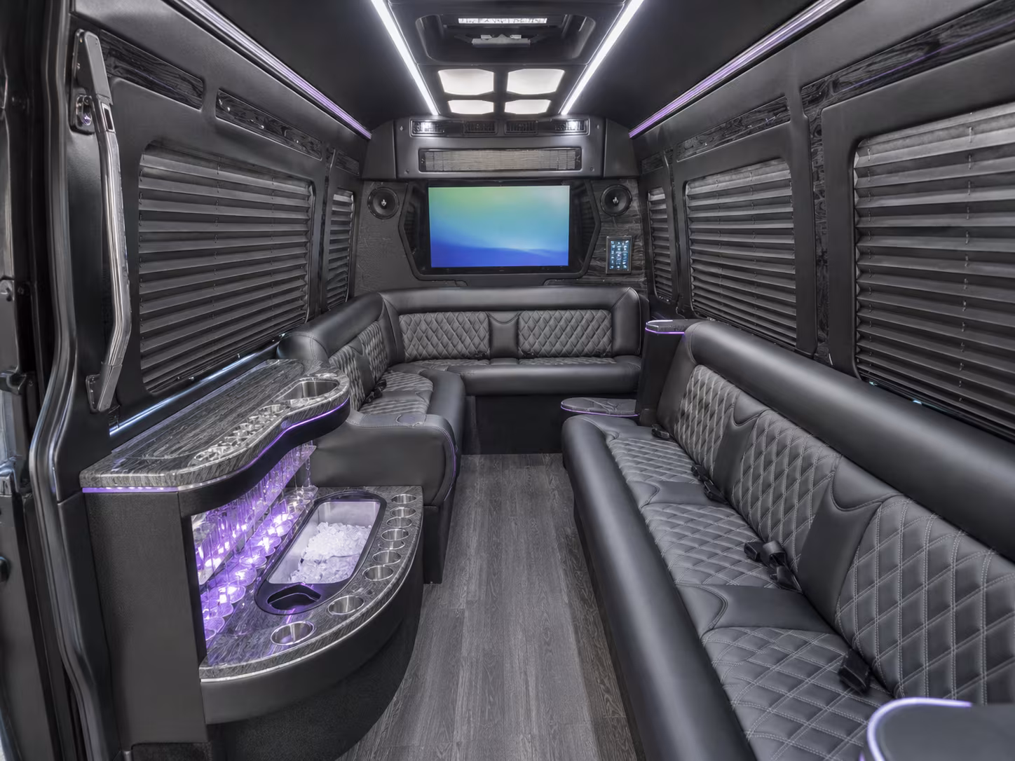 flower mound 20 passenger party bus interior